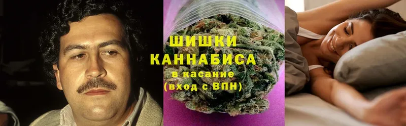 где продают   Пугачёв  Канабис White Widow 